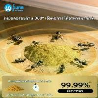 ราคา ยาฆ่ามด เหยื่อมด ฆ่าตายยกลัง เหยื่อกำจัดมด ไล่มด ฆ่ามด กำจัดแมลง กำจัดได้สิ้นซากตายยกรัง สเปรย์ยาฆ่ามด เหยื่อมด ฆ่าตายยกลัง กำจัดแมลง ไล่มด ฆ่ามด 5 กรัม (1731010205945858633)