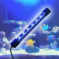 ราคา COD หลอดไฟ Led หลอดไฟใต้น้ำ ไฟตู้ปลา กันน้ำสําหรับตกแต่งตู้เลี้ยงปลา (1732234280826996494)