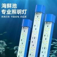 ราคา ไฟตู้ปลา, โคมไฟ LED พิเศษสำหรับตู้ปลาและพิพิธภัณฑ์สัตว์น้ำ, การออกแบบสระว่ายน้ำซีฟู้ด, เหมาะสำหรับกุ้งและปู, กันน้ำ, รุ่น 2025220 (1732177394387159116)