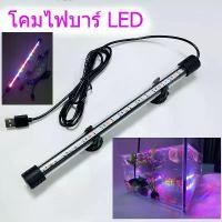 ราคา หลอดไฟ Led ไฟตู้ปลา ไฟกันน้ำตู้ปลา หลอดไฟใต้น้ำ โคมไฟตู้ปลา สามารถแช่น้ำได้ ทำให้ความมันวาวงดงามมากขึ้น เหมาะสำหรับปลาประดับ (1732197574510806973)