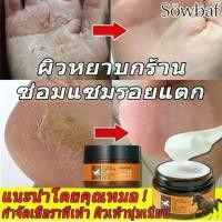 ราคา Jlisa ครีมทาส้นทาแตก ครีมทาเท้า ครีมบำรุงเท้า ครีมทาเท้าแตก ครีมทาเท้า ครีมบำรุงเท้า ครีมทาเท้าแตก ครีมส้นเท้าแตก ครีมทาส้นทาแตก ครีมทาเท้าแตก ที่ขัดส้นแตก ครีมน้ำมันม้า สปาขัดเท (1730000671101257878)