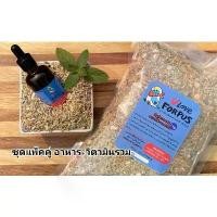 ราคา vloveforpus *โปรโมชั่นชุดแพ็คคู่* CALPUS+ อาหารสำหรับนกแก้วขนาดเล็ก (แพ็ค 1 kg) + วิตามินรวม สำหรับนกแก้ว (50 ml.) (1732452922323404191)