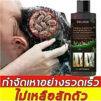 ราคา ใหม่ชุดยาฆ่าเหา LUCCAหัวหอม แก้คัน แชมพู สูตรกำจัดเหา ไข่เหา ผมสวย แชมพูเด็ก กำจัดเหา แชมพูกำจัดเหา สุดคุ้ม (1731187016603239615)