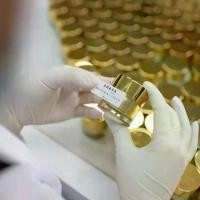 ราคา ครีมCHAYA ไนท์ครีม หน้าขาวใส ลดสิว รอยดำ ฝ้า กระ สำหรับผิวขาวใส (1732365126615073989)