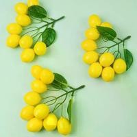 ราคา มะนาวประดิษฐ์, แฮนด์เมด, เชือก, สีเหลืองปลอม, กิ่งมะนาวจำลองหรูหรา, โฟมเหมือนจริง, เหมาะสำหรับ DIY, อุปกรณ์งานแต่งงาน, มะนาวเทียม, อุปกรณ์ปาร์ตี้ (1732616766478451858)