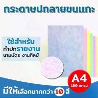 ราคา กระดาษปกรายงาน ปกขนแกะ พิมพ์ลายขนแกะ ขนาด A4 หนา 180 แกรม บรรจุ 100 แผ่น ปกรายงาน การ์ดเชิญ นามบัตร (1732609040879879304)