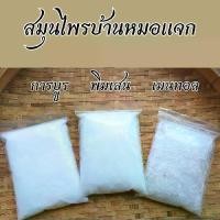 ราคา การบูร พิมเสน เมนทอล #สมุนไพรไทย #สมุนไพรOrganic #สมุนไพรธรรมชาติ (1732342568453834515)