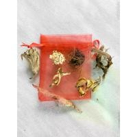 ราคา [Tiktok] รวมของมงคล 7ชนิด ว่านสาวหลง ว่านดอกทอง ว่านเสน่หา ดอกรักซ้อน เครือสาวหลง เส้นผมนางไม้ ว่านพญาไก่แดง เครื่องรางของขลัง (1732161253876401191)