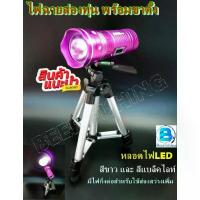 ราคา 【COD】 ไฟฉายส่องทุ่นชิงหลิว สปิ๋ว ไฟส่องหางทุ่น ไฟตกปลา ไฟฉาย LED ไฟส่องกลางคืน สีม่วง (1731842326871442830)
