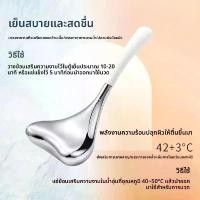ราคา Stainless Steel Beauty Ice Ball Facial Beauty Ice Wave Ball Beauty Ice Compress Ball Massage Ice Spoon (1732986339408577756)
