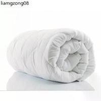 ราคา คลังสินค้า ไส้ผ้านวม ไส้นวมขนห่านเทียม กันไรฝุ่น Blue Sleep (1732772538276152669)