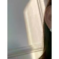 ราคา Vintage Style Earrings Niche High-end Exquisite Petite Versatile Elegant Face-shaping Pearl Stud Earrings for Women Simple (1733217921031243696)