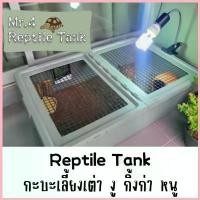 ราคา reptile home กะบะ กรง กล่อง เลี้ยงสัตว์ บ้านเต่า งู กิ่งก่า อื่นๆ พร้อมติดตาข่าย COD (1732791536355017738)