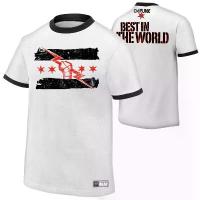ราคา เสื้อยืด Cm Punk Best in The World T-Shirt แนะนำ (1733448664711660987)