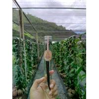 ราคา Khao Yai Vanilla Bean in Glass Tube | ฝักวานิลลาแท้ 100% ในขวดแก้ว ปลูกที่เขาใหญ่ เกรดส่งออก กลิ่นหอมละมุน ใช้แต่งกลิ่นขนม เบเกอรี่และเครื่องดื่ม วานิลา วนิลา (1733446210631927008)