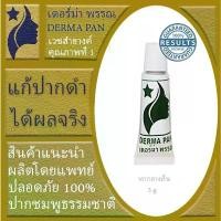 ราคา ครีมแก้ปากดำ ลิป ชมพูแบบธรรมชาติ เหมาะกับทุกสภาพผิว เดอร์ม่า พรรณ DERMA PAN หลอดเขียว ทาก่อนนอน ยึดรูปแบบเดียวกัน (1733342532798679023)
