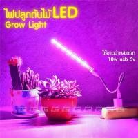 ราคา ไฟปลูกต้นไม้ led grow light usb เสียบ powerbank ได้ หลอดไฟปลูกต้นไม้ ไฟปลูกพืช ไฟปลูกผัก มอนสเตอร่า แคคตัส ไม้ด่าง (1732961118002316943)