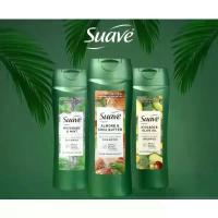 ราคา [จัดส่งทันที] แชมพู + ครีมนวดผม Suave Professionals Moisturizing Shampoo and Conditioner with 100% natural แชมพู Suave สำหรับผู้ใหญ่ (1733001626119013448)