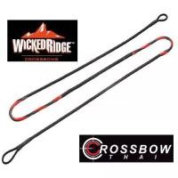 ราคา สายหน้าไม้ WICKED RIDGE Crossbow String By Tenpoint มีสินค้าพร้อมส่งพร้อมบริการTuning (1733373832943142640)