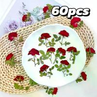 ราคา [ช่อดอกไม้แห้ง DIY] ช่อดอกไม้แห้ง DIY ขนาดเล็ก 60 ชิ้น ดอกกุหลาบ, ที่คั่นหนังสือ, ตกแต่งใบหน้า, ที่รองแก้ว, จี้, กิ๊บติดผม, ของตกแต่ง, คริสต์มาส, ฮาโลวีน, วันวาเลนไทน์, วันครู, ของตกแต่งวันเกิด (17331