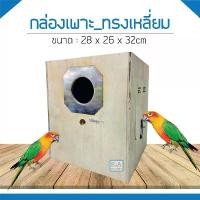 ราคา รังเพาะแบบเตี้ย_ทรงสี่เหลี่ยม / ซันคอนัวร์ ,คิมสัน ,ไคท์ , ริงเนต. สินค้าขายดี อาหาร เม็ด นกชมพูสวน (1732306630552421401)