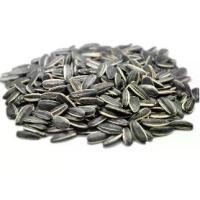 ราคา 3ห่อ คุ้มกว่า เม็ตทานตะวัน 500กรัม เมล็ดทานตะวัน กินแก้ง่วง อาหาร กินเล่น เมล็ดธัญพืช ผลไม้และผลไม้อบแห้ง ธัญพืช ขนม (1732727863328801800)