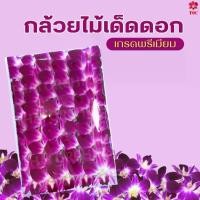 ราคา กล้วยไม้เด็ดดอก ดอกไม้สด เกรดพรีเมี่ยม สายพันธุ์บอมแดง สำหรับตกแต่งสปา จานอาหาร เครื่องดื่ม (1732615348702054082)