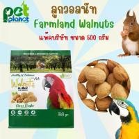 ราคา ❦[500g.] ลูกวอลนัท Farmland Walnuts อาหารสำหรับ สัตว์เลี้ยง สัตว์ฟันแทะ นก นกแก้วขนาดใหญ่ กระรอก กระแต มาคอร์ อาหารนก✻ (1733445451517822165)