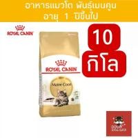 ราคา [10kg] อาหารแมว Royal canin Maincoon แมวโตพันธุ์เมนคูน 10 kg อาหารแมวรอยัลคานิน (1730390206878354191)