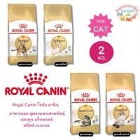 ราคา Royal Canin โรยัล คานิน อาหารแมว สูตรเฉพาะสายพันธุ์ เมนคูน แร็กดอลล์ สฟิงซ์ เบงกอล ขนาด 2 กิโล (1733039488558269739)