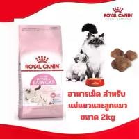 ราคา [ดีลลับ] Royal Canin อาหารแมว สำหรับแม่และลูก BABYCAT ขนาด 2kg (1733212358590498397)