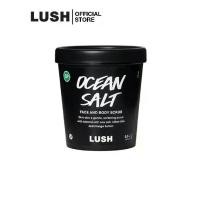 ราคา [พร้อมส่ง] LUSH สครับเกลือ สคับสด สครับผิวหน้าและผิวกาย OCEAN SALT SELF-PRESERVING FACE AND BODY SCRUB (1732892078276379774)