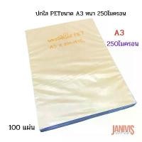 ราคา ปกพลาสติกใส PET A3 x250ไมครอน(0.25มม.)100แผ่น (พลาสติกใสทำ FACE SHIELD) (1732820431794111876)