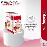 ราคา ✧[10 ซอง] Royal Canin Medium Adult Pouch Gravy อาหารเปียกสุนัขโต พันธุ์กลาง อายุ 1 - 7 ปี (Dog Food, โรยัล คานิน)♙ (1733004784623256713)