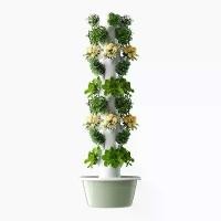 ราคา ระบบปลูกแบบไฮโดรโปนิกส์, ในร่มและกลางแจ้ง, บ้านสวนแนวตั้ง, บ้านสวน, ชุดหม้อปลูกผัก, DIY (1732987359136613679)