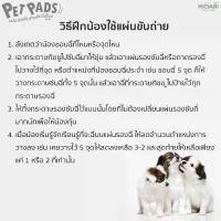 ราคา แผ่นรองซับและถาดฝึกขับถ่ายสำหรับสุนัข แผ่นรองฉี่สัตวเลี้ยง Pet Diaper ซึมซับดีเยี่ยม แผ่นฝึกขับถ่าย แผ่นรองฉี่สุนัข แผ่นรองฉี่แมว #แผ่นรองฉี่#ระงับกลิ่น (1733309770197468277)