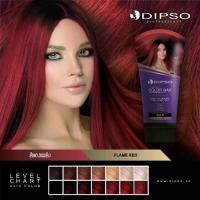 ราคา [พร้อมส่ง] พร้อมส่งล็อตใหม่!Dipso Hair Color Wax แว๊กซ์เปลี่ยนสีผม ดิปโซ ไม่มีแอมโมเนีย 150มล.แว๊กซ์สีผมดิ๊พโซ่ ย้อมสีผม ยาย้อม (1732909269781743609)