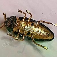ราคา CRAFT MOMENTS: เข็มกลัดแมลงทับ เข็มกลัด เข็มกลัดตกแต่งเสื้อผ้า เข็มกลัดประดับเสื้อ METALLIC WOOD BORING BEETLE BROOCH แมลงทับ JEWEL BEETLE PIN (ปีกแท้) BEETLE PINS (1732738192931521914)