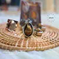 ราคา เบี้ยแก้ คุ้มดวง หลวงตาออ วัดช่องแค | Authentic Bia Kae Amulet | คําแนะนําการขายที่ร้อนแรงในเดือนนี้ (1732707038115497286)
