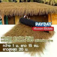 ราคา เกรดพรีเมี่ยม เสริมหลังตาข่าย แฝกเทียม ฟางเทียม ยกม้วน กันร้อน มุงหลังคาตกแต่งสถานที กันUV ขนาด1*20m รั้ว ไม้ พลาสติก สําเร็จรูป หญ้าเทียม ปูพื้น ยก ม้วน ใหญ่ 50 เมตร (1733276243048171008)