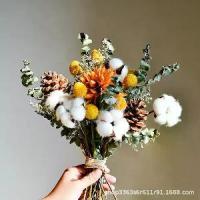 ราคา Real Flowers Dried Flowers Eternal Flowers Decorative Ornaments Cotton Fresh Eucalyptus Leaves Daisy Pine Cones Living Room Bedroom Flower Arrangements อยาก ได้ หุ่น นาฬิกา ทราย (1733143607609624476)
