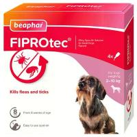 ราคา Beaphar Fiprotec Small Dog ยาหยดกำจัดเห็บหมัด สุนัขพันธุ์เล็ก 4 หลอด เนเธอร์แลนด์ (1733475498328688062)