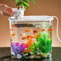 ราคา เลี้ยง ปลา กล่อง เลี้ยง ปลา ตู้ปลา ขนาดfish cage เลี้ยง ปลา อ่าง เปล เลี้ยง ปลา ตู้ ปลาหางนกยูง ชุด ตู้ปลา พร้อม เลี้ยง อ่าง ปลา พลาสติก โหล ตู้ปลา พร้อม ของ (1732959276200985786)