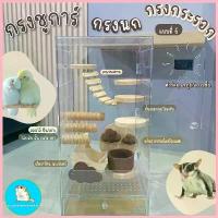 ราคา ตู้No.6 กรงกระรอก ชูการ์ ดอร์เม้าส์ นก ตู้อะคริลิค60x30ซม. /บ้านชูาการ์/บ้านกระรอก/บ้านดอร์เม้าส์/บ้านนก/กรงชูการ์ สวัสดิการสด (1732941403566146995)