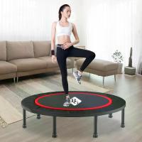 ราคา COD. GM Sport Trampoline (สปริงบอร์ด) แทรมโพลีน 40 นิ้ว แทมโพลีน BG รุ่น TL40กลางแจ้ง, การเดินทาง, กีฬา, สุขภาพ（tiktok） (1732699692610914007)