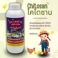 ราคา 【COD】 ไคโตซาน วิตามิน และแร่ธาตุสารสกัดจากธรรมชาติ 100% เหมาะสำหรับเหมาะสำหรับสัตว์น้ำและสัตว์บกทุกชนิด (1733284436536362133)