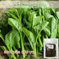 ราคา [เก็บเงินปลายทาง] เมล็ดพันธุ์ ผักปลัง ผักปลังเขียว ผักปลังขาว 300 เมล็ด (1733190517252326649)