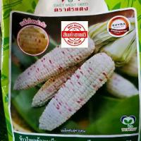 ราคา เมล็ดพันธุ์ ข้าวโพดข้าวเหนียว F1 เหนียวหวานชมพู ขนาด 1 กก. (1732730273768048546)