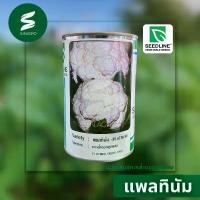 ราคา เมล็ดพันธุ์ กะหล่ำดอกลูกผสม กะหล่ำดอก แพลทินัม ตรา ซีดไลน์ (1732877846674769214)