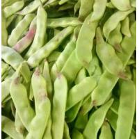 ราคา เมล็ดถั่วแดงเล็ก ๆ น้อย ๆ เมล็ดถั่วเมล็ดถั่วเขียวเมล็ดพืชเมล็ดพืชเมล็ดพืชเมล็ดพืชเมล็ดพืชเมล็ดพันธุ์ rape เมล็ดพันธุ์ (1733090107359135383)